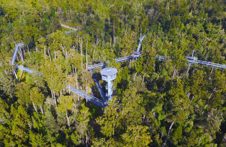 West Coast Treetop Walkway & Cafe