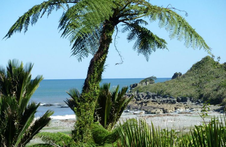 Coastal vista from Rimu cottage