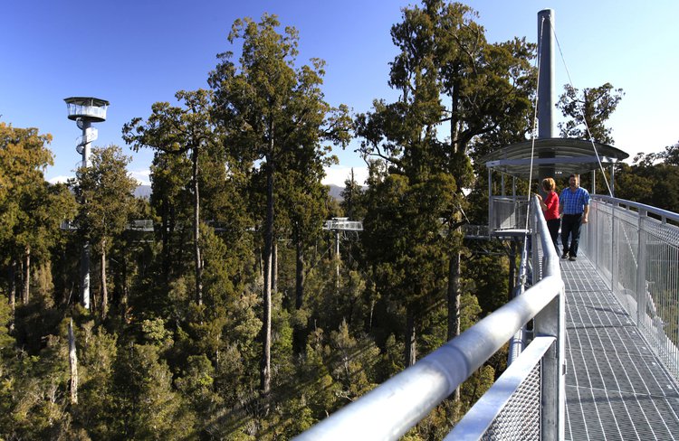 West Coast Tree Top Walkway