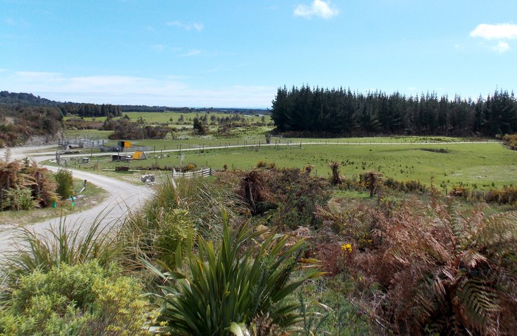View of the farm