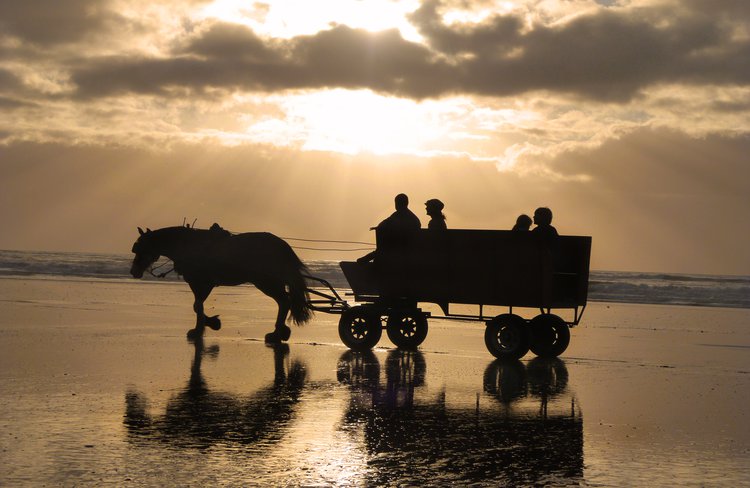 Golden sunsets by horse and wagon