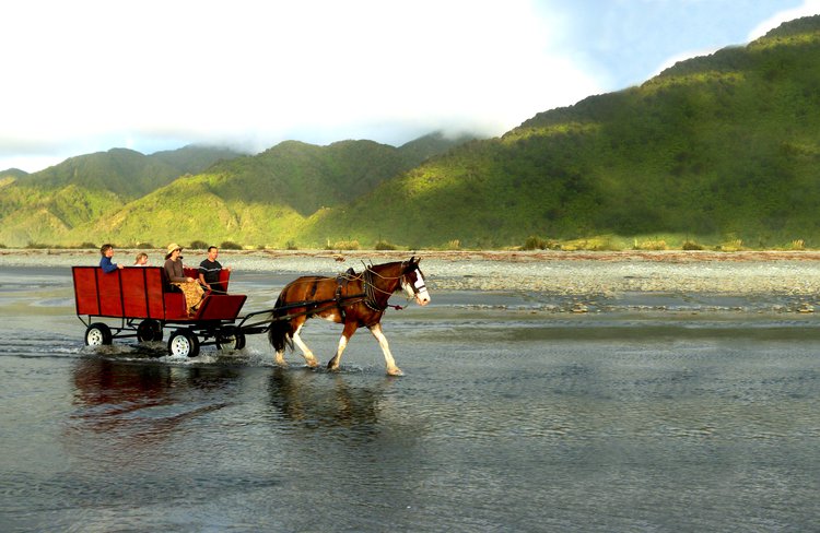 Traveling the beach like our fore fathers