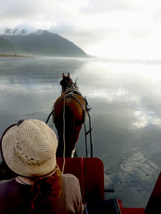 Stepping back in time with a horse and wagon on the beach