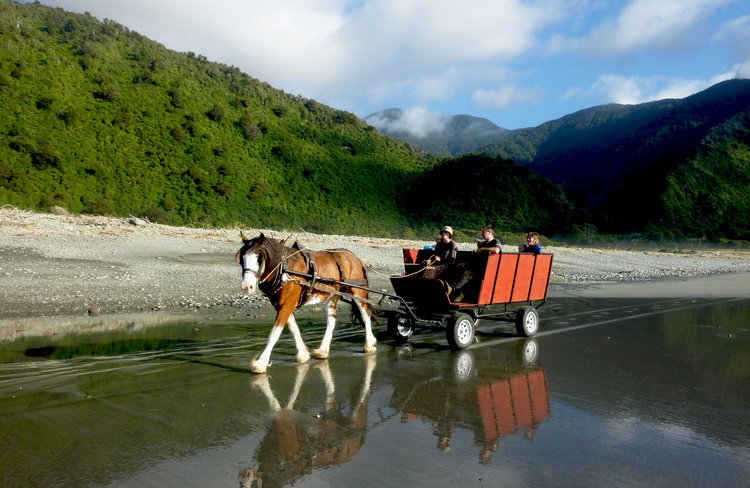 Learn about the Barrytown gold mining history by horse and wagon