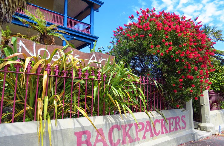 Noah's Ark Backpacker Hostel