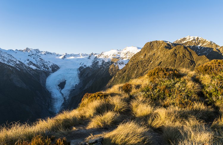 Franz Josef Glacier from Alex Knob