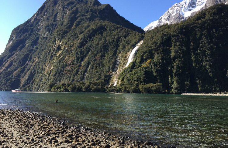 Waterfalls at Milford Sound.