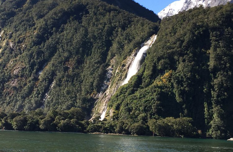 One of many waterfalls at Milford Sound.