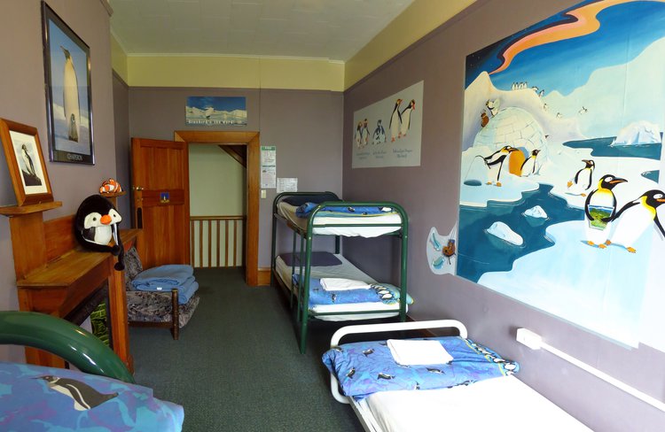 Penguin Room