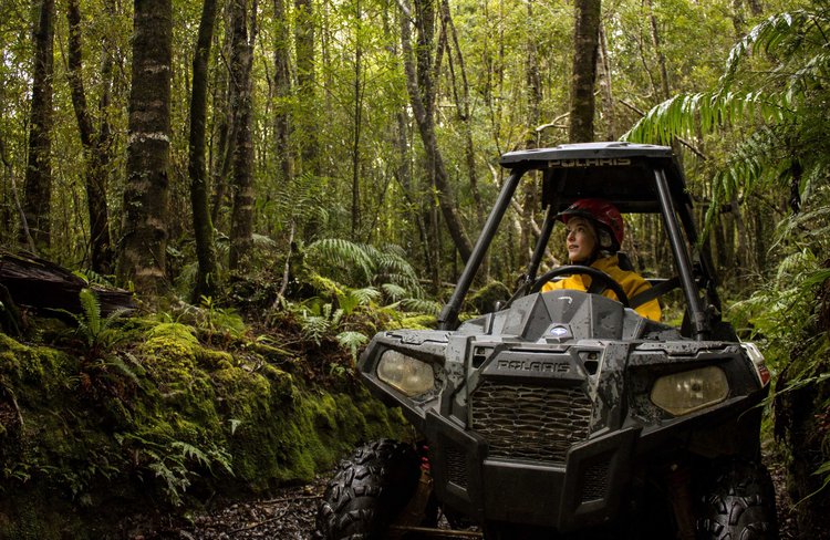 Visually stunning views through 250 acres of privately owned rainforest