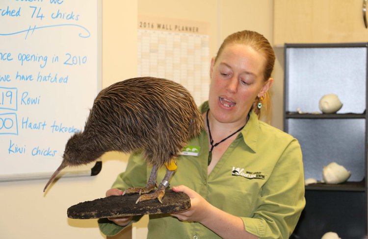 Meet Kim - our senior Kiwi Ranger !