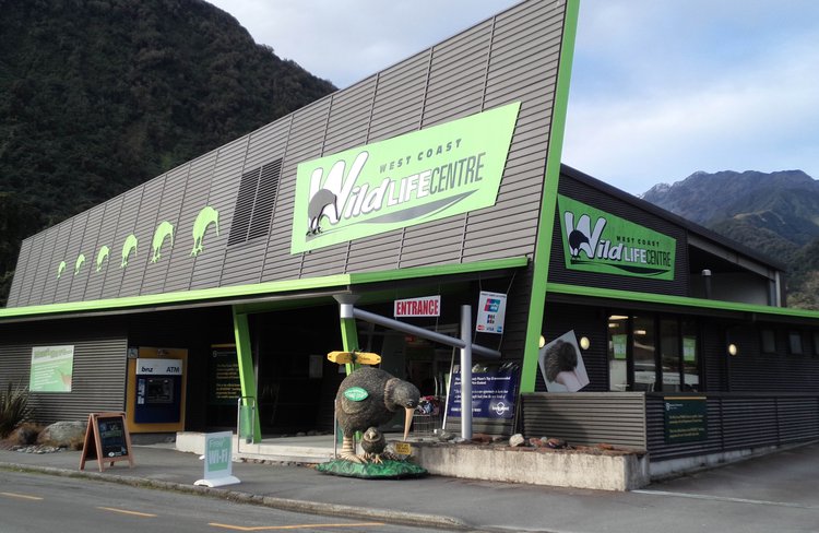 Look out for the bright " Green " building in Franz Josef !