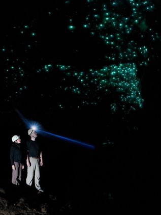 Sparkling glowworm display inside the Nile River Glowworm Cave