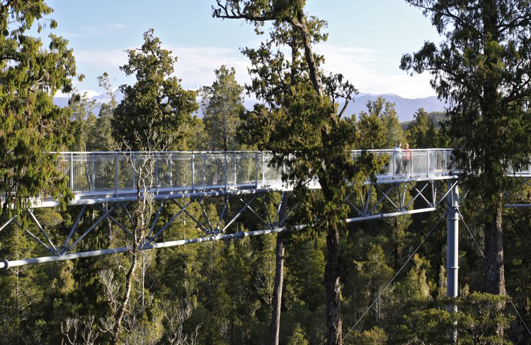 West Coast Tree Top Walk