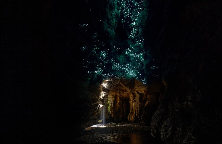 Magic night time glowworm display at the cave exit.