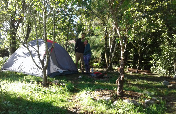 Orchard camping