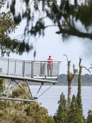 West Coast Treetop Walk & Cafe
