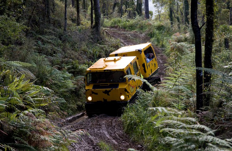 Stay warm and dry inside while the Hagglund takes you in the heart of the rainforest.