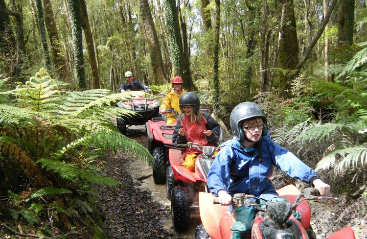 Kid's quads on the 1hr Enchanted Forest Track