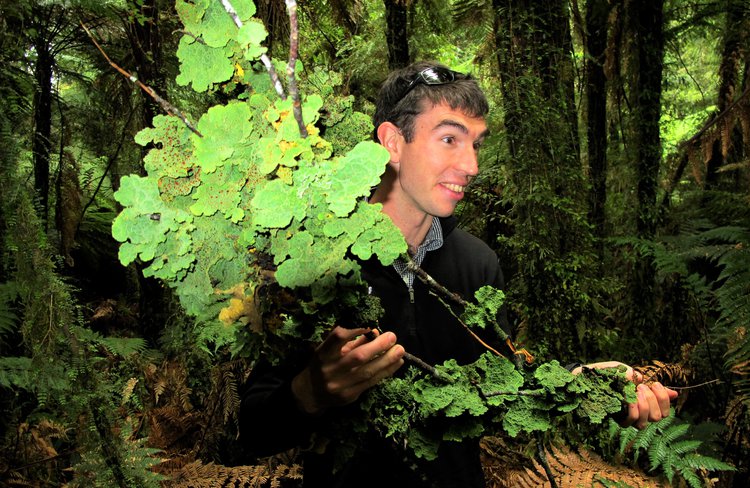 Join expert naturalist guides to discover a world of giant rainforest trees, rare wildlife and delicate ferns and mosses.