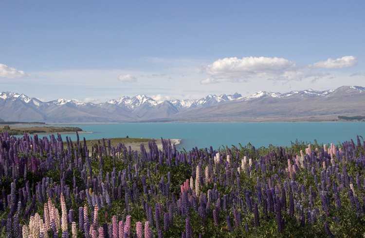 Lake Tekapo Wedding