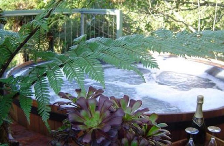 Omau Settlers Lodge is the ideal base to explore the untamed natural wilderness of the West Coast, NZ