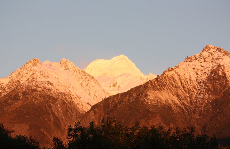 Fox Glacier Eco Tour