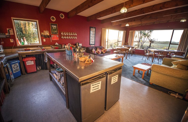 YHA Hokitika Birdsong