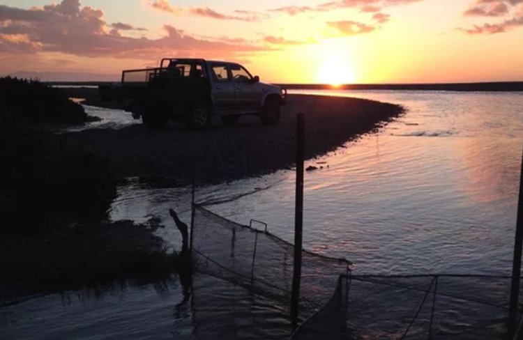 Whitebaiting, September through to end November on crystal clear West Coast rivers