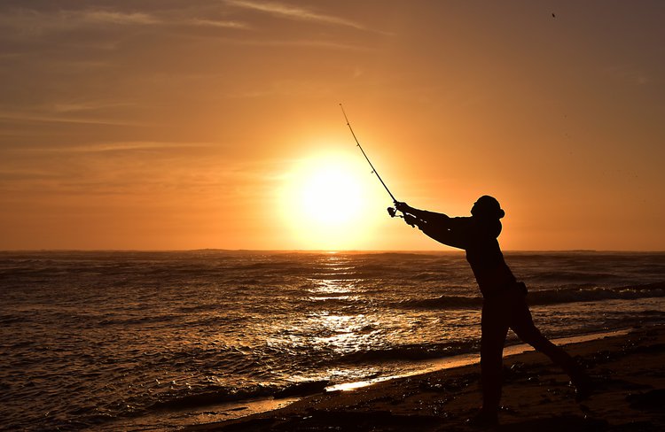 Aline Fishing