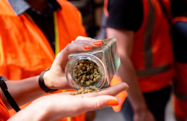 Smell, taste and see the New Zealand ingredients we use to make our beers