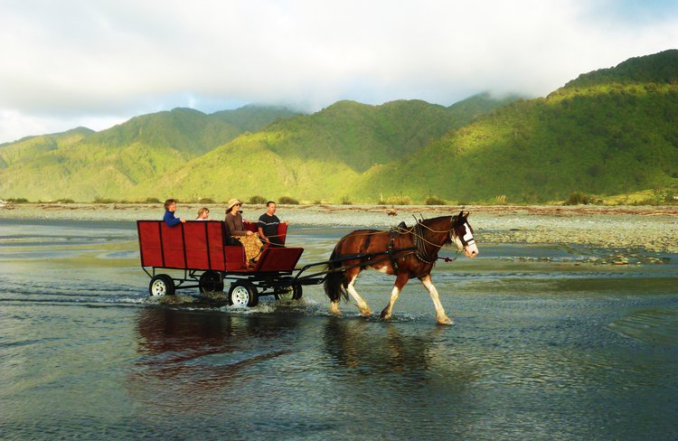 Golden Sands Horse and Wagon Tours logo