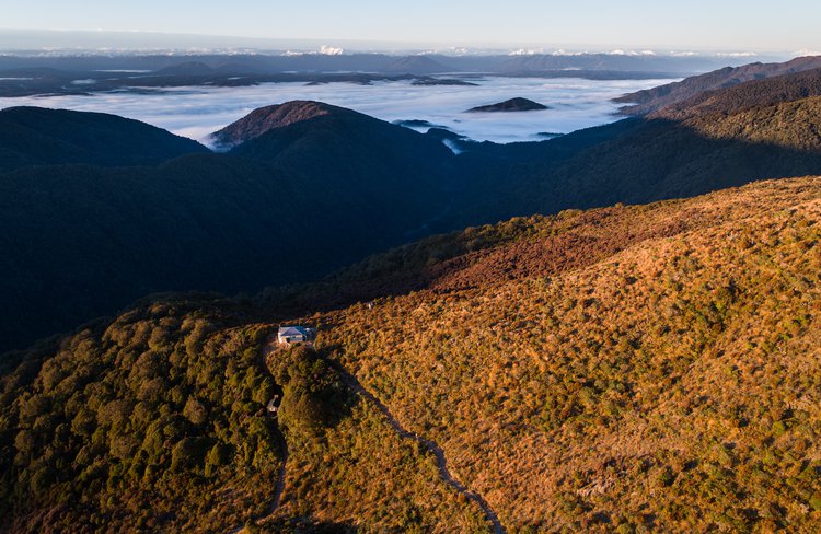Paparoa Track