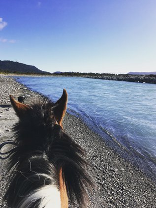 The view from behind the horse's ears