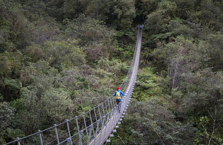 Swing Bridge - Franz Josef Full Day tour with Glacier Valley Eco Tours