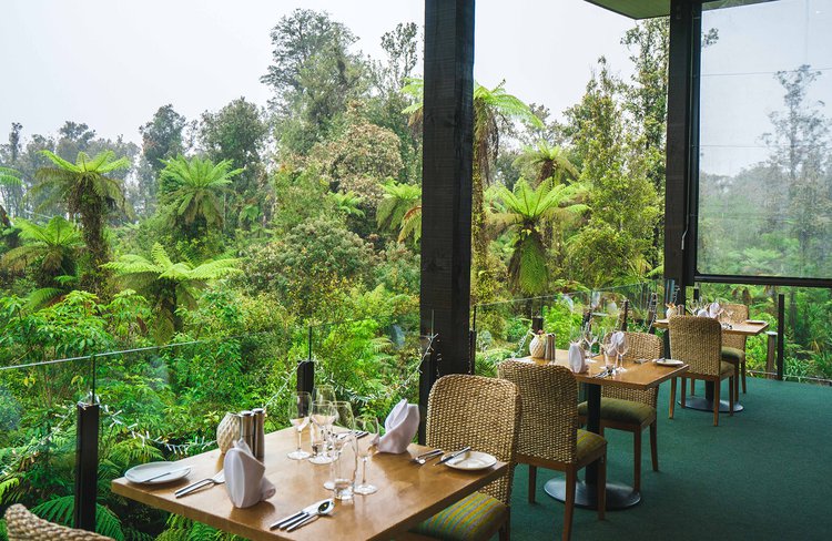 Canopy Restaurant