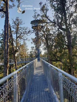 Treetop Walkway